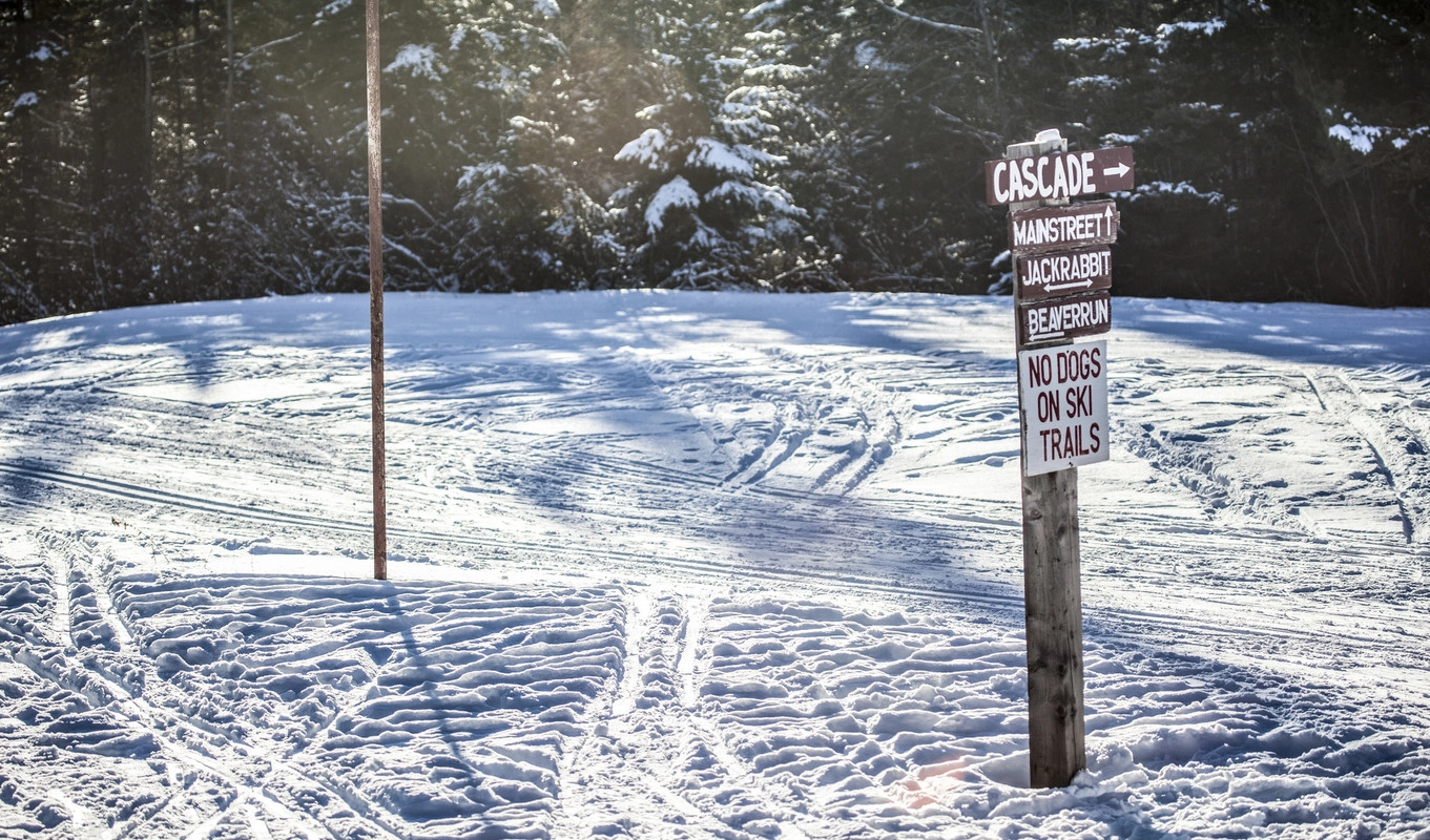 The start of a few xc ski trails.