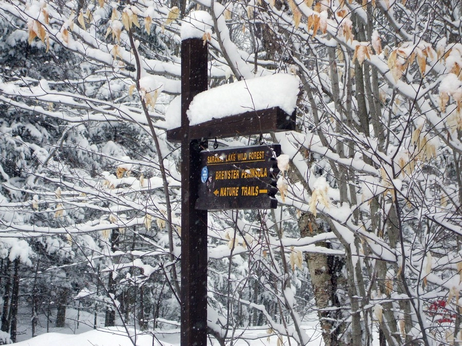 All trails are posted and often, broken out in the winter.