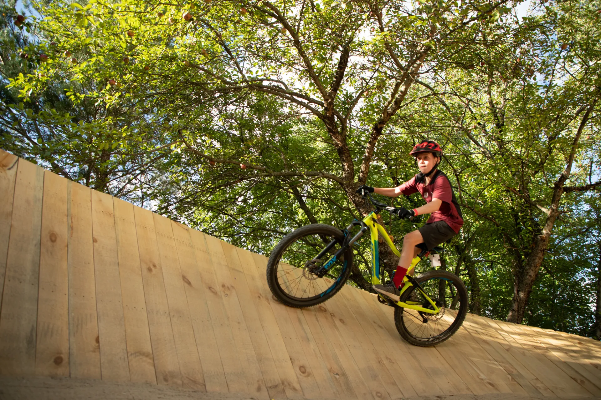 riding up a big wall in the woods