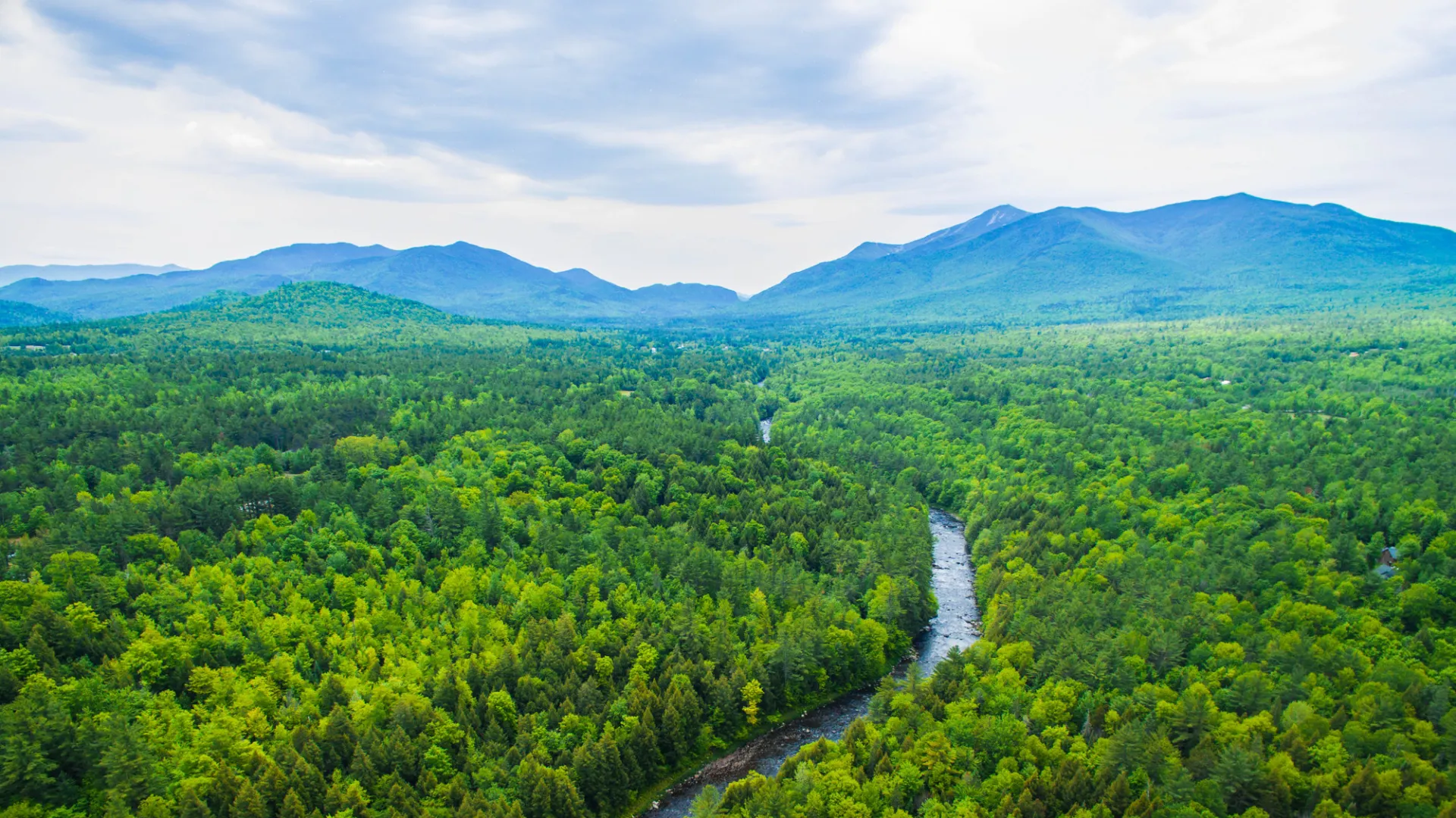 Drone shot of the Ausable River.
