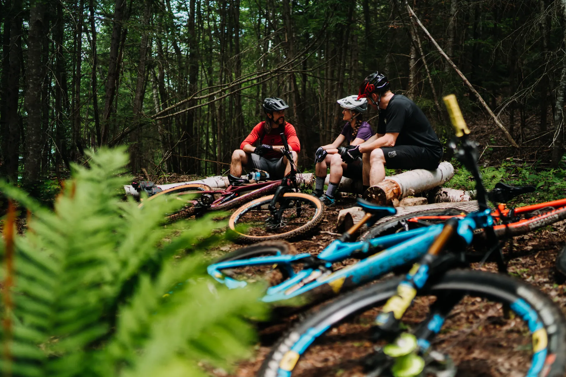 A group of mountain bikers resting