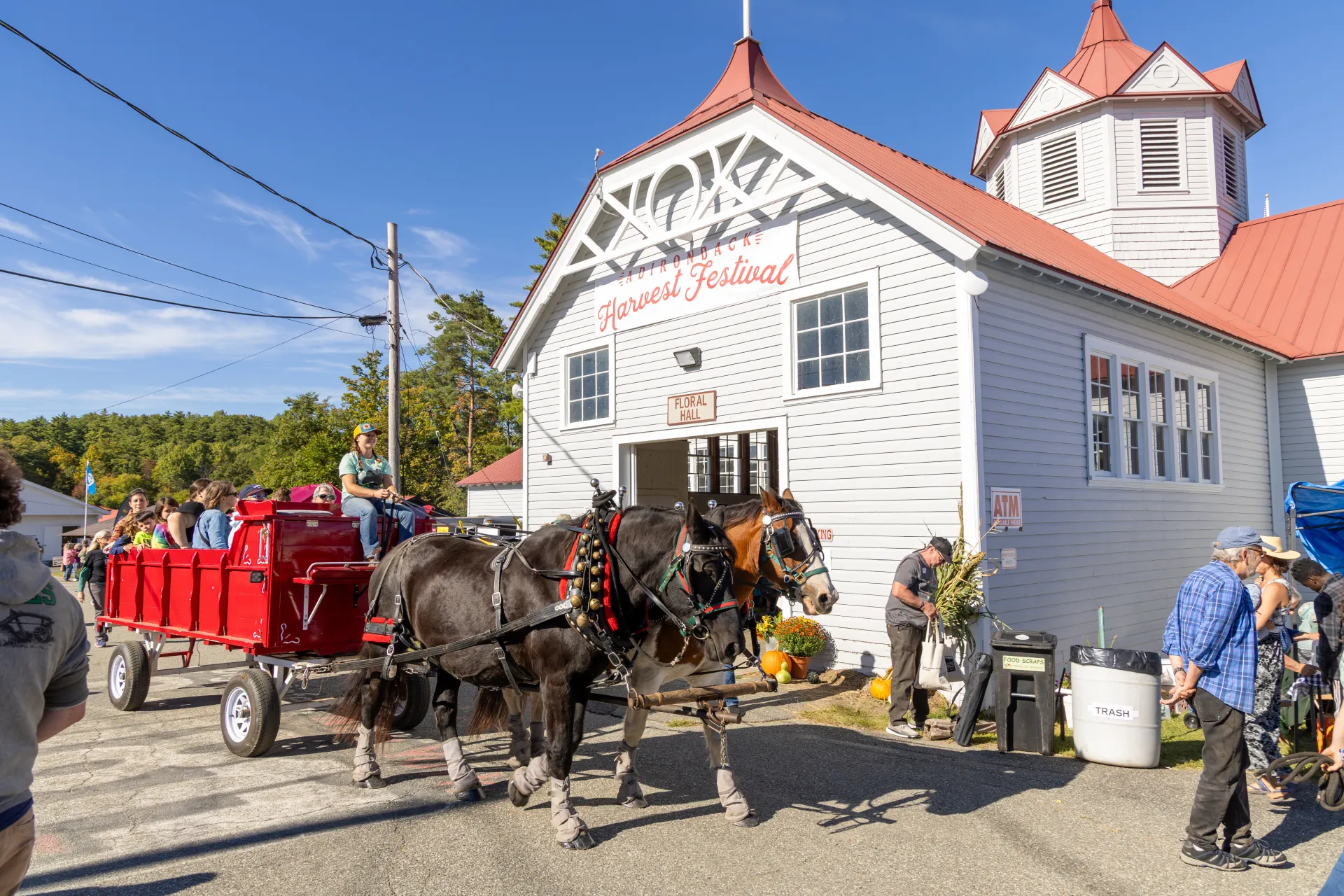 horse drawn carriage