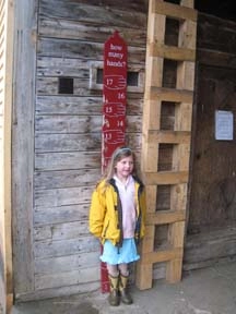 Horse Barn