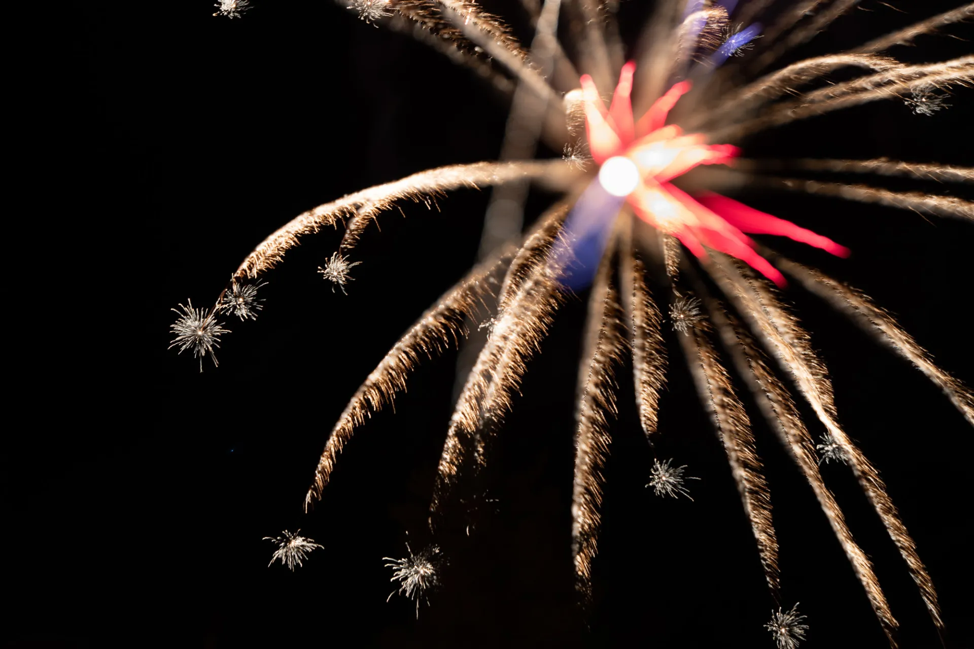A red and gold firework bursts over head.