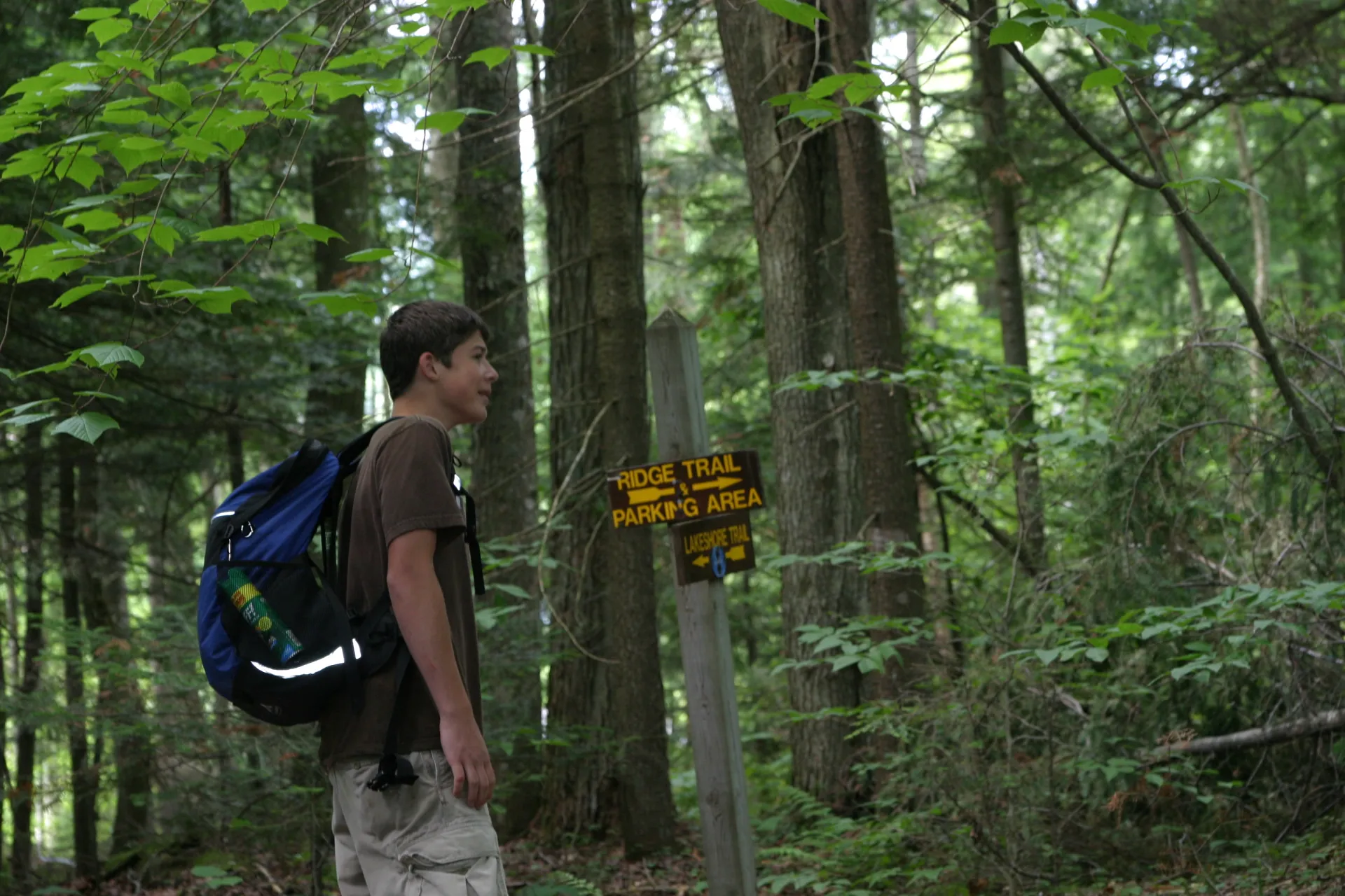 Well marked trails which circle back to the trailhead.