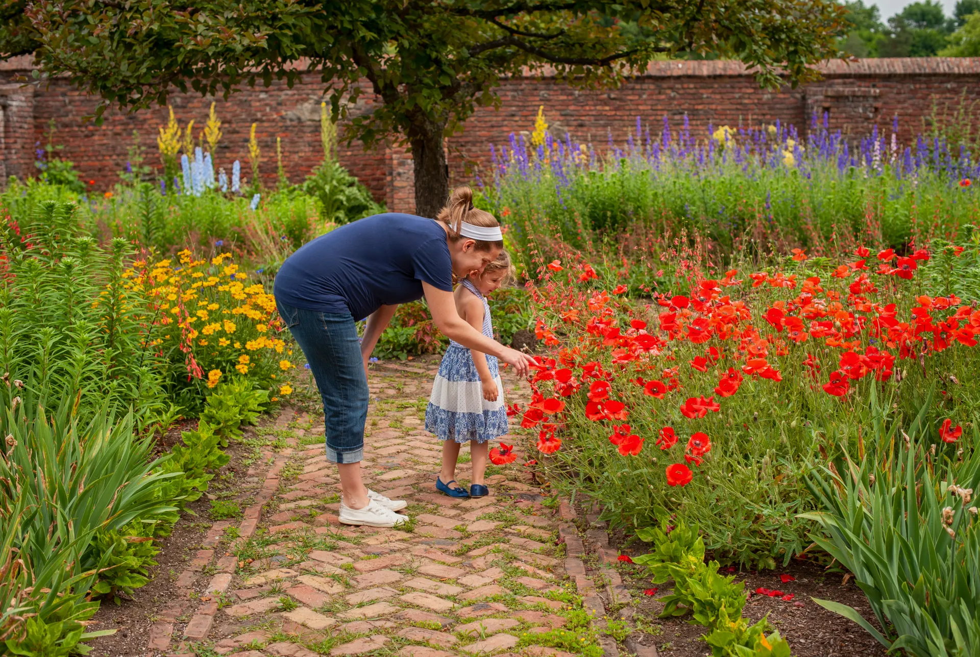 A mother and child examine the bright red poppies, tall purple salvias and other lush flowers in the gardens.