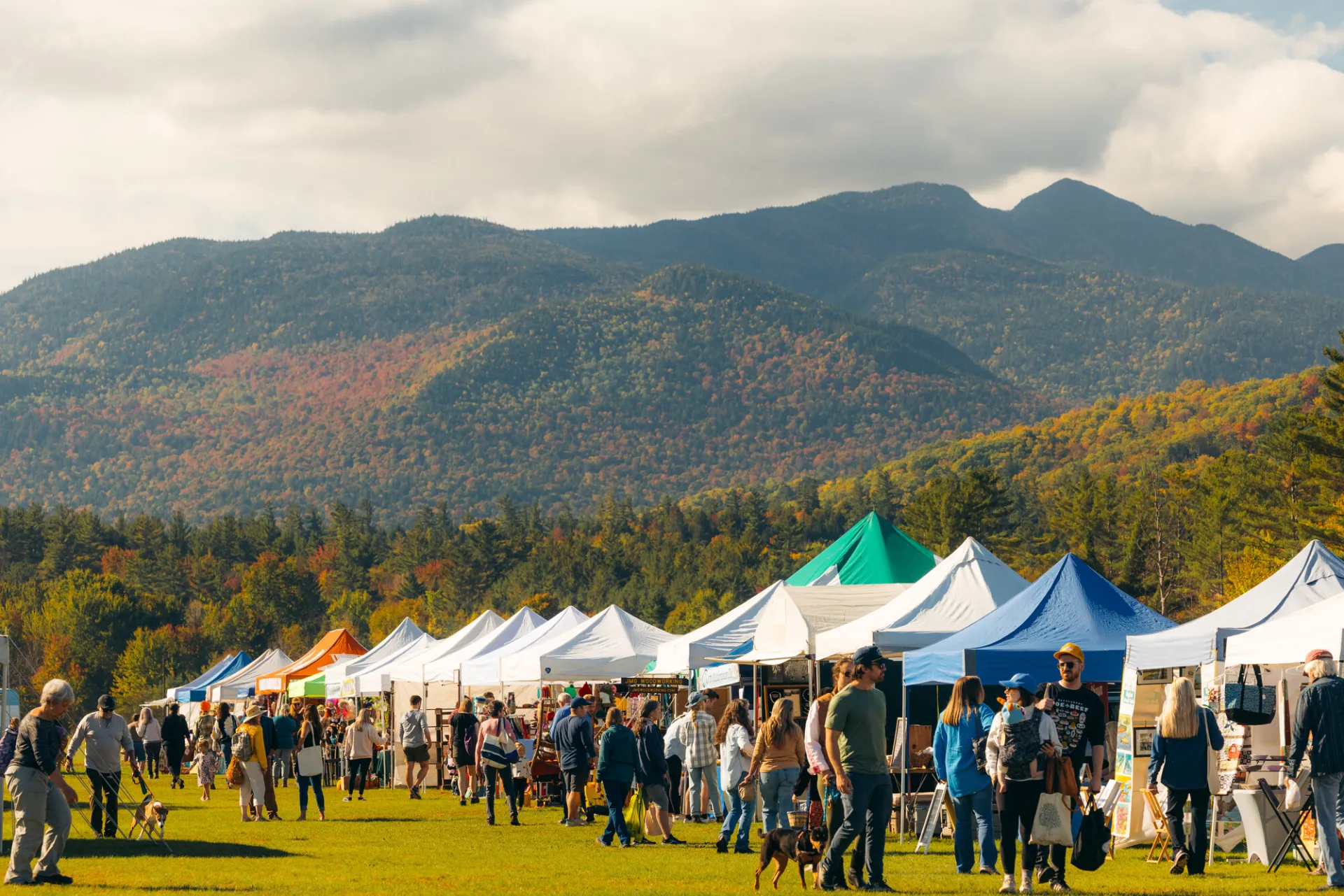 People visit a farmers market in the High Peaks Region with foliage in the background. 