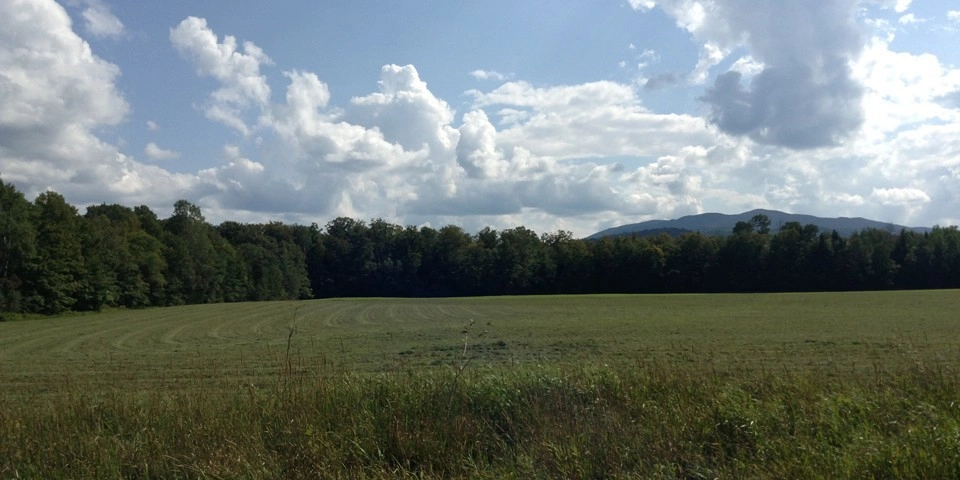 Near the Cornell Uihlein Sugar Maple Research/Extension Field Station.