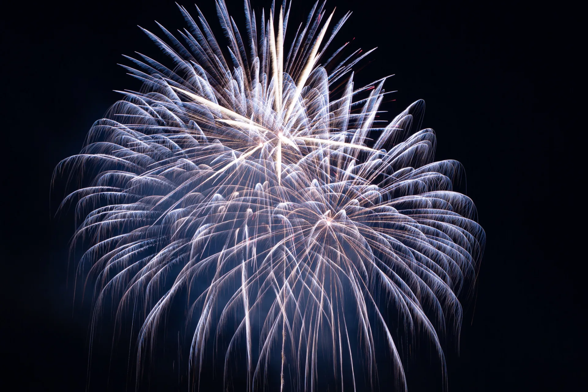 Bright white fireworks erupt in front of a dark sky.