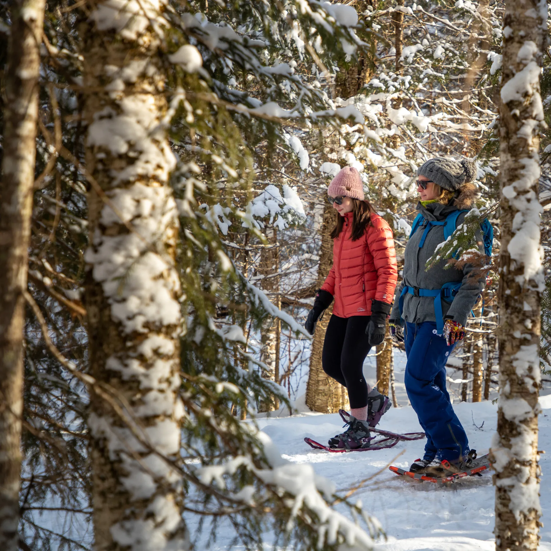 Two women snowshoe through snowy woods. 