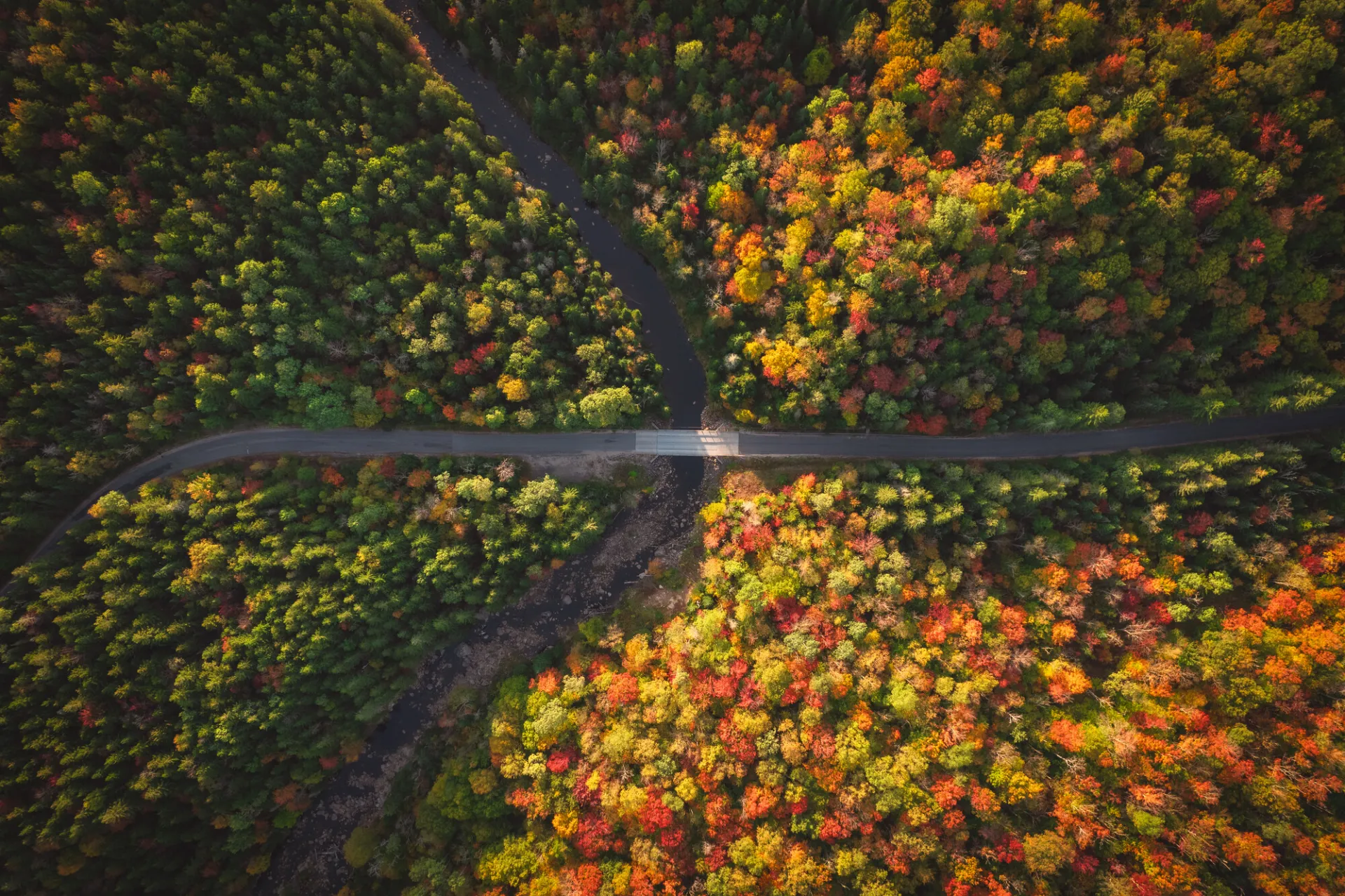 An aerial view of the Adirondack Loj Road in fall.