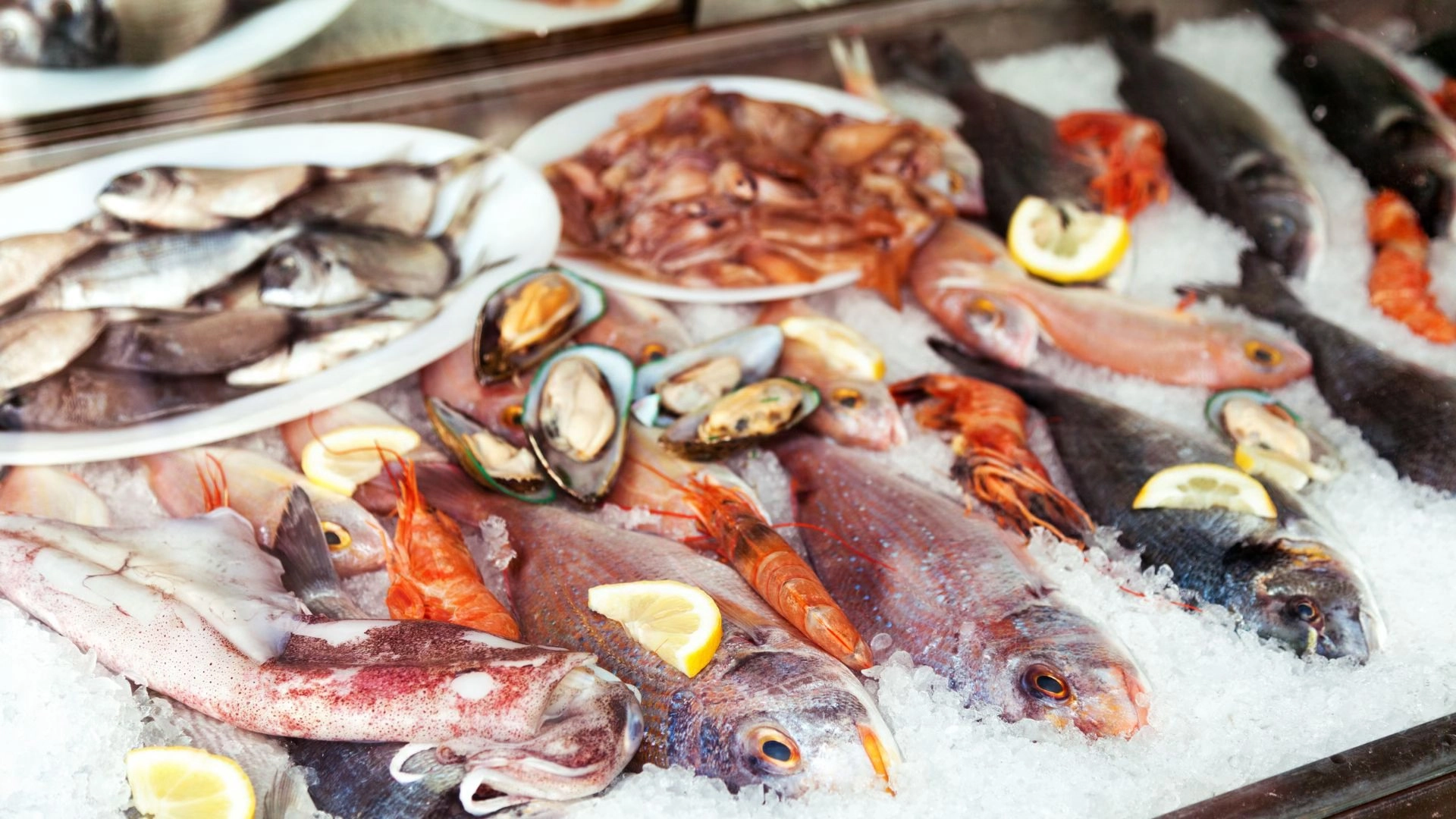 A variety of seafood from fresh fish, to squid, shrimp and mussels displayed over ice in a glass case.