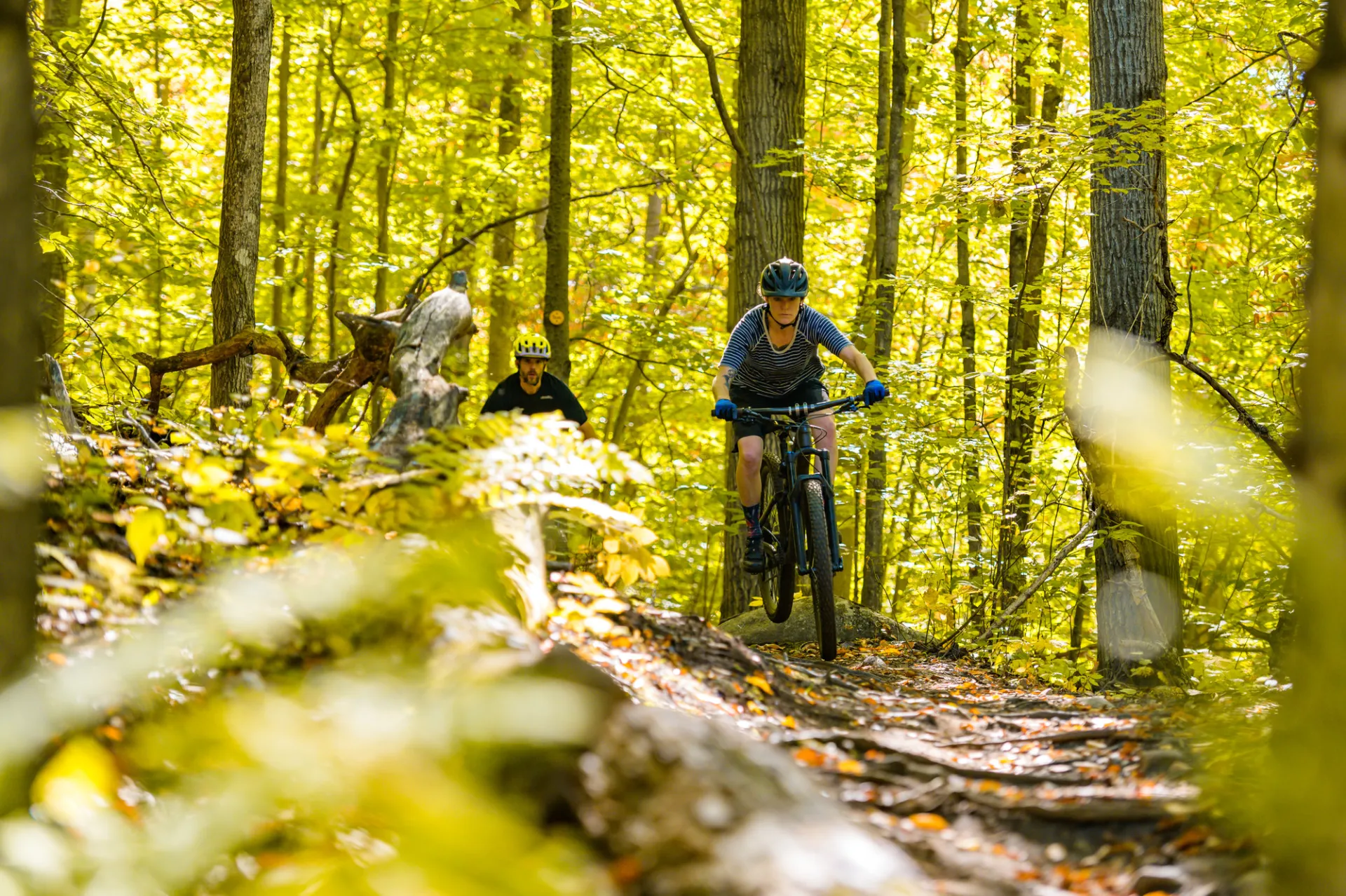 Mountain bikers in the woods