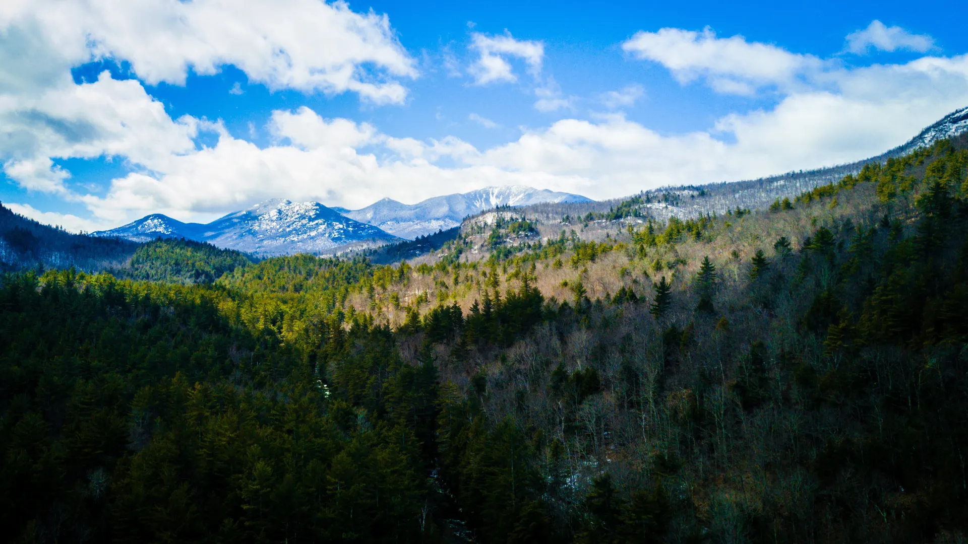 A scenic panorama of snowy mountains and forest beneath a blue sky dotted with fluffy clouds.