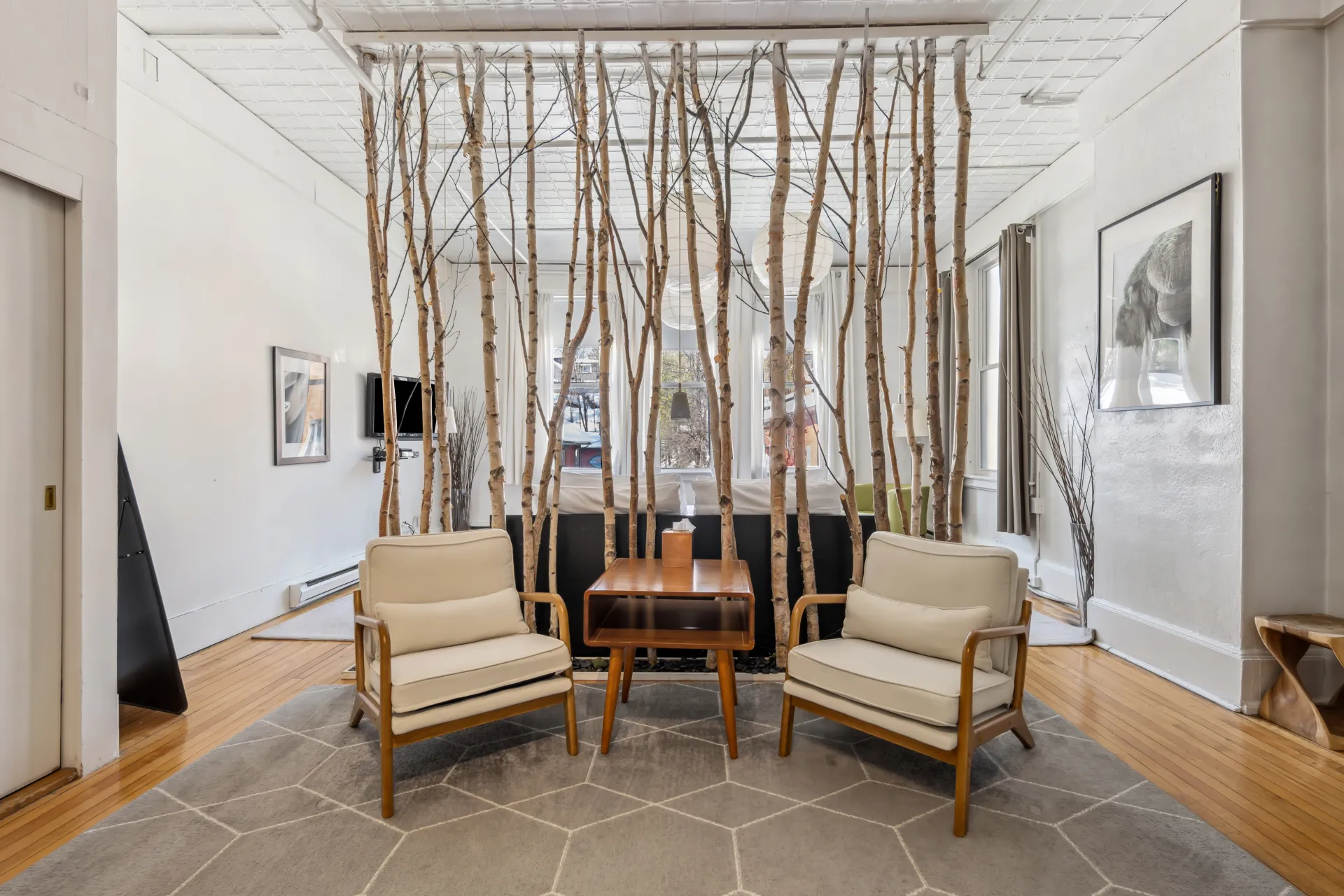 A beautiful white birch divider is the focal point of this lounge space at The Haus.