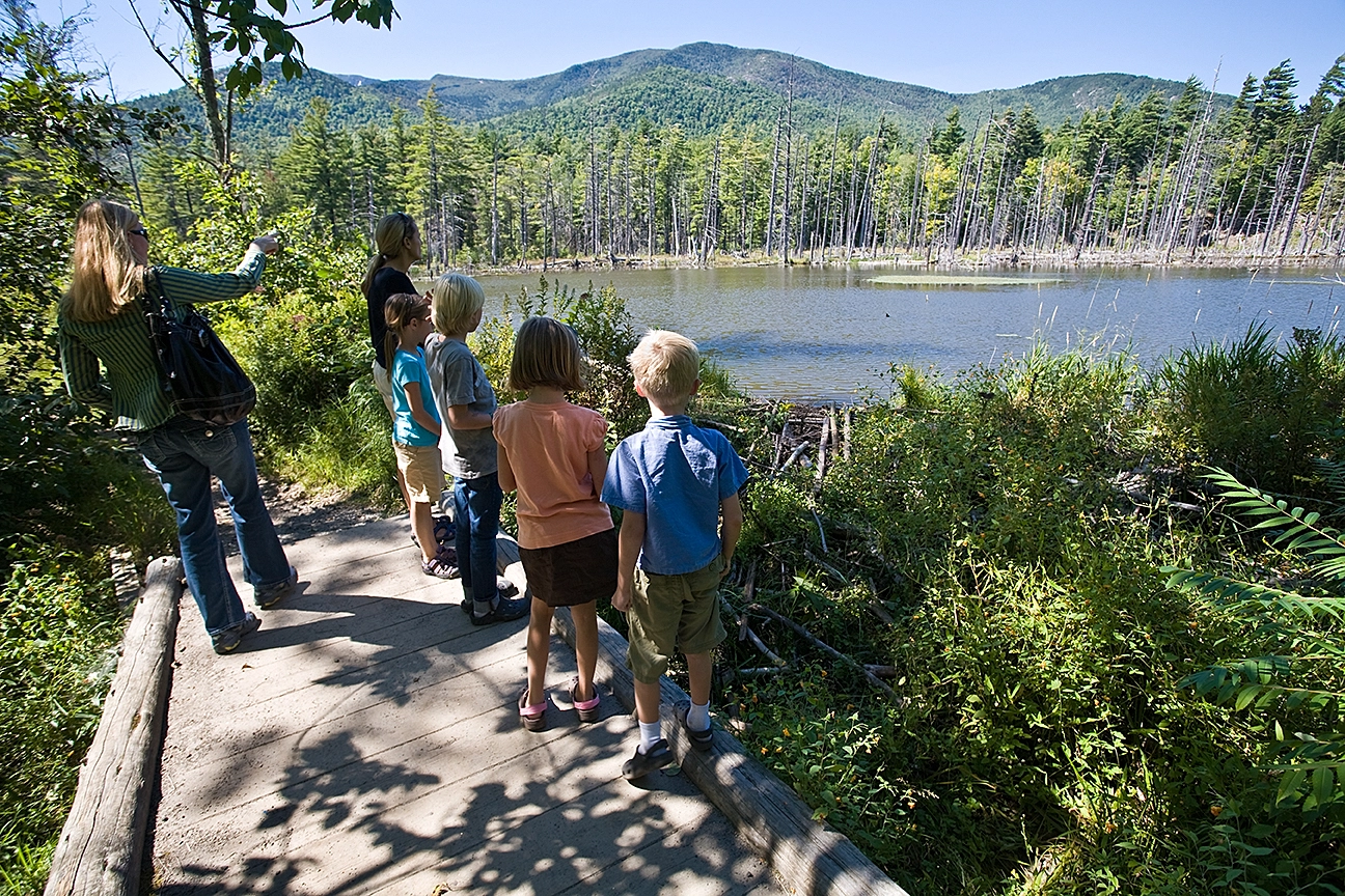 A group of kids and an adult at a scenic overlook of a lake