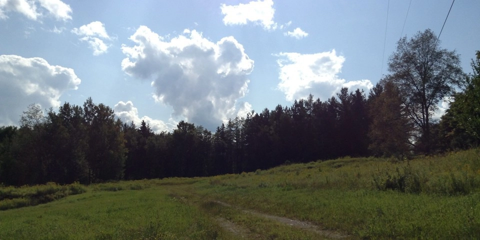 A lovely backdrop in any season on Bear Cub Road.