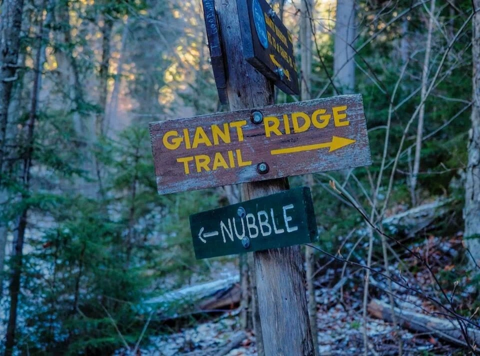 Look for the Giant Ridge Trail at the intersection.