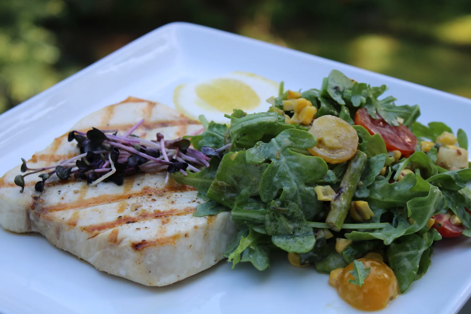 Grilled tofu with an arugula salad.