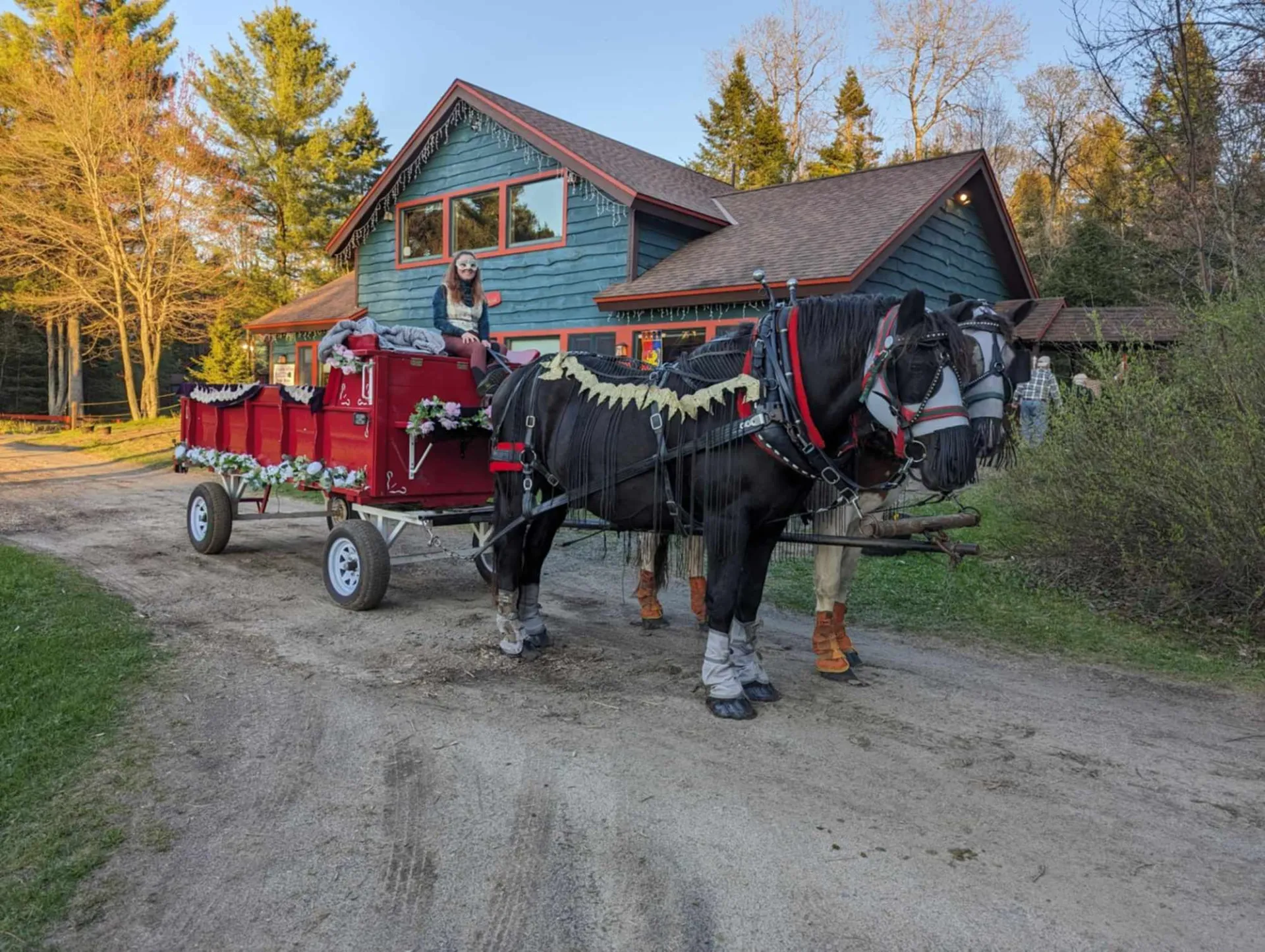 A woman sits in a red wagon pulled by two horses in front of a green building.  