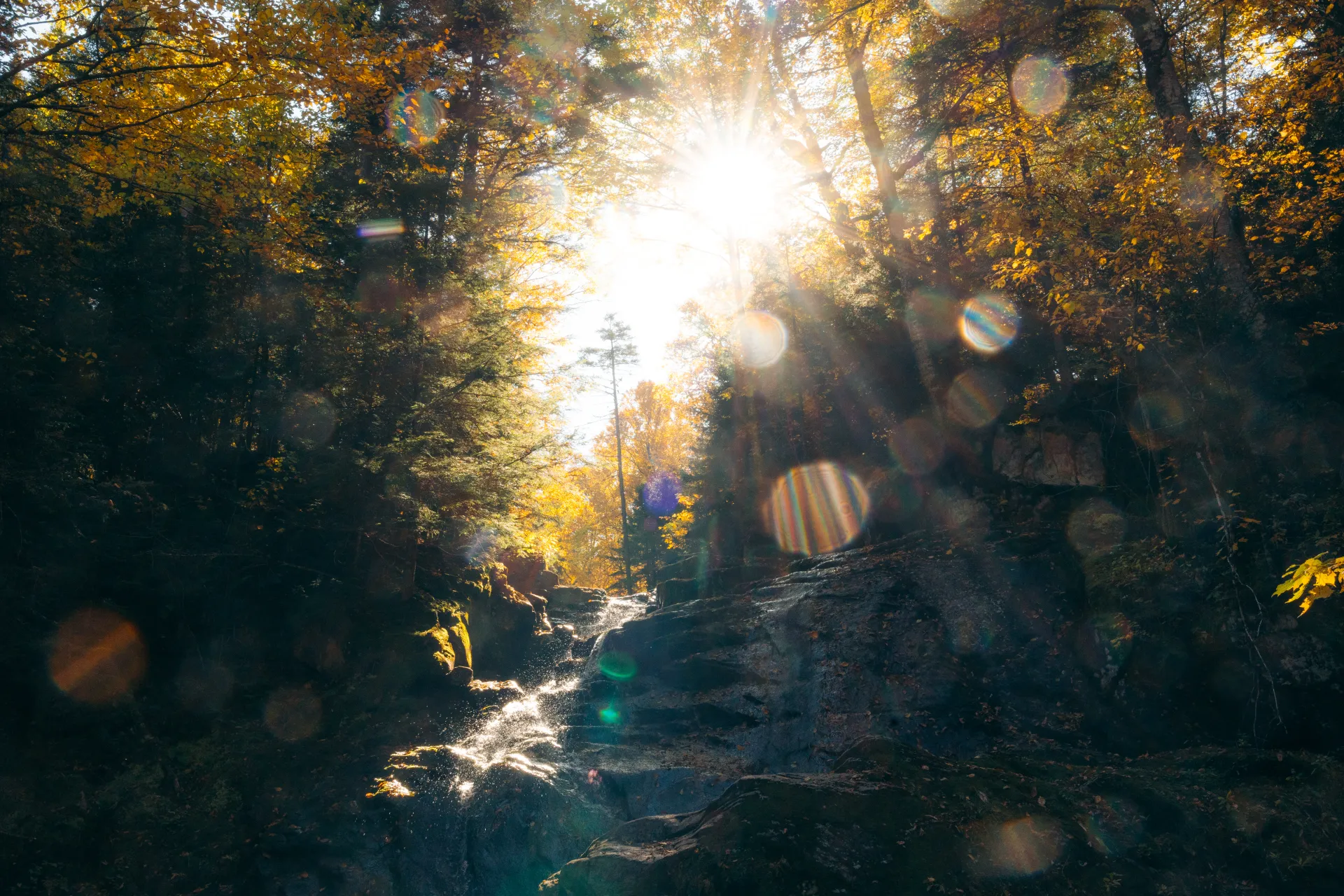 A waterfall with the sun illuminating all surroundings