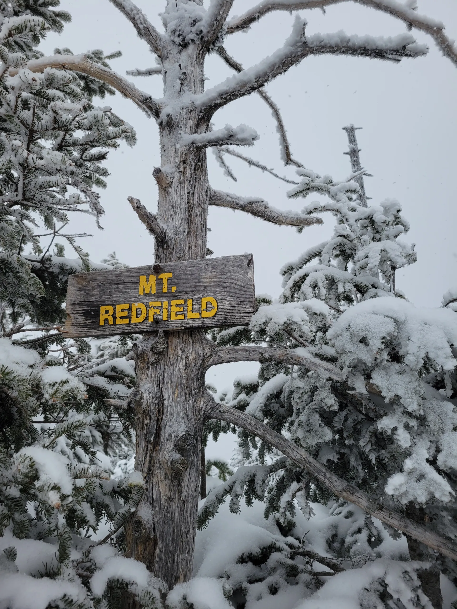 A wooden sign for Mt. Redfield