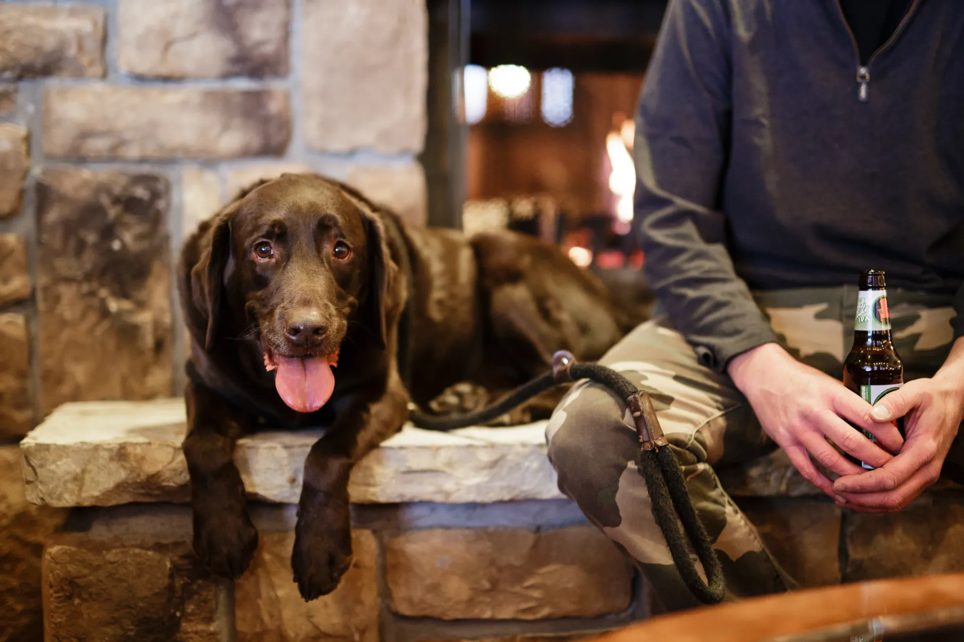 Chocolate lab in dog bed laying next to person whose arm and leg you can see