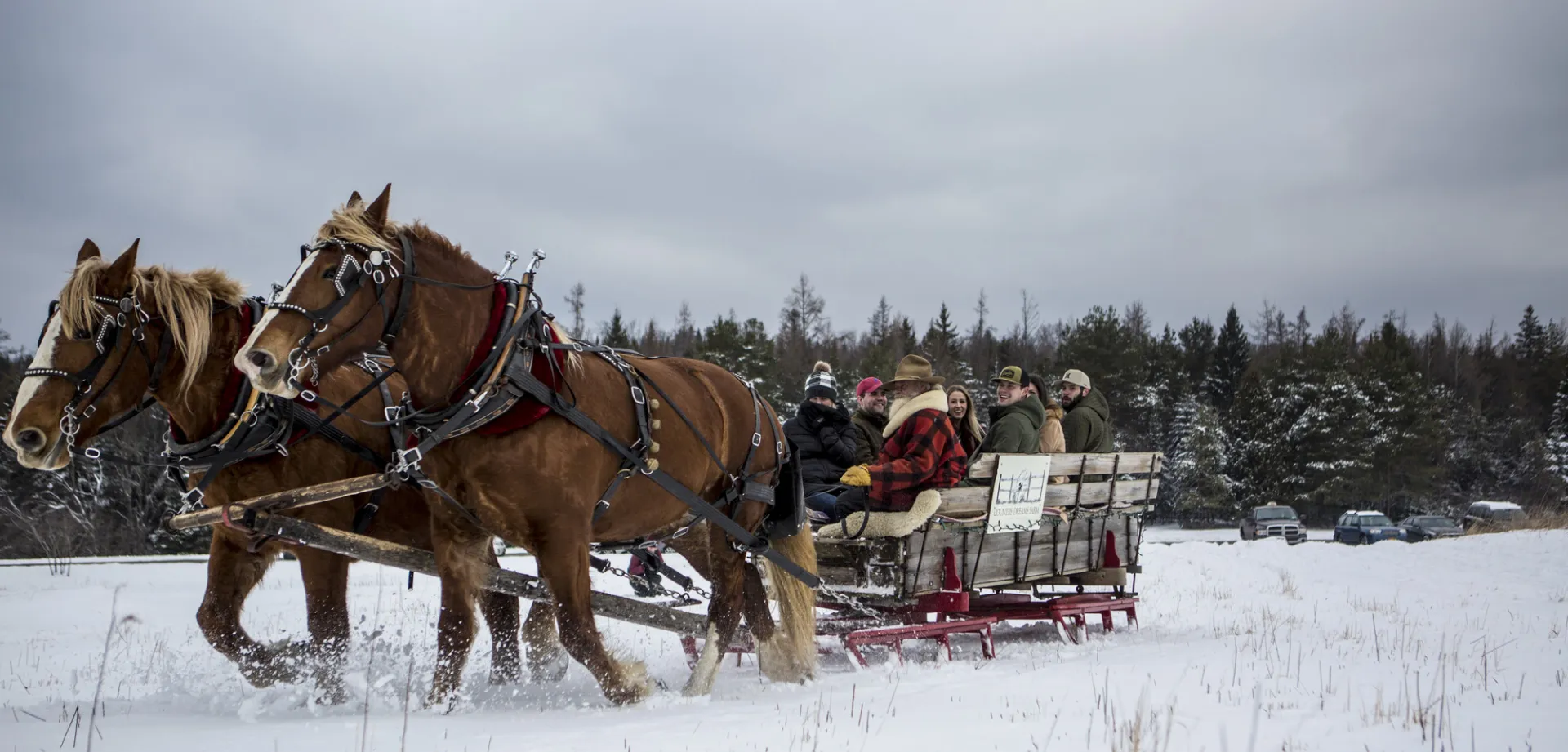 A horse drawn sleigh in the snow