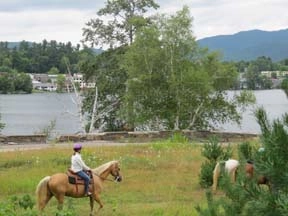 horsetrail