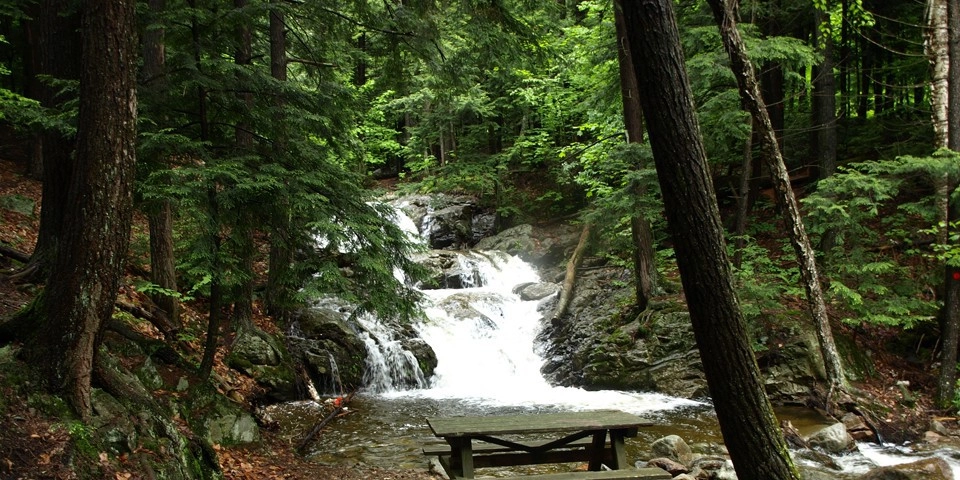 A pool at the bottom of a waterfall