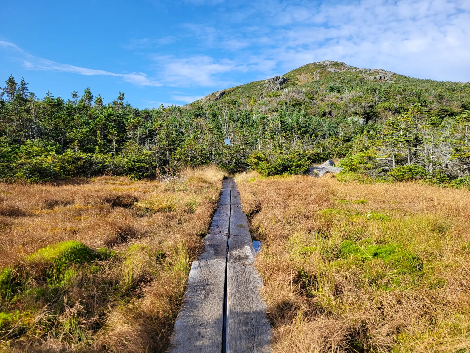 A boardwalk in a boggy area on the way to Mount Marcy