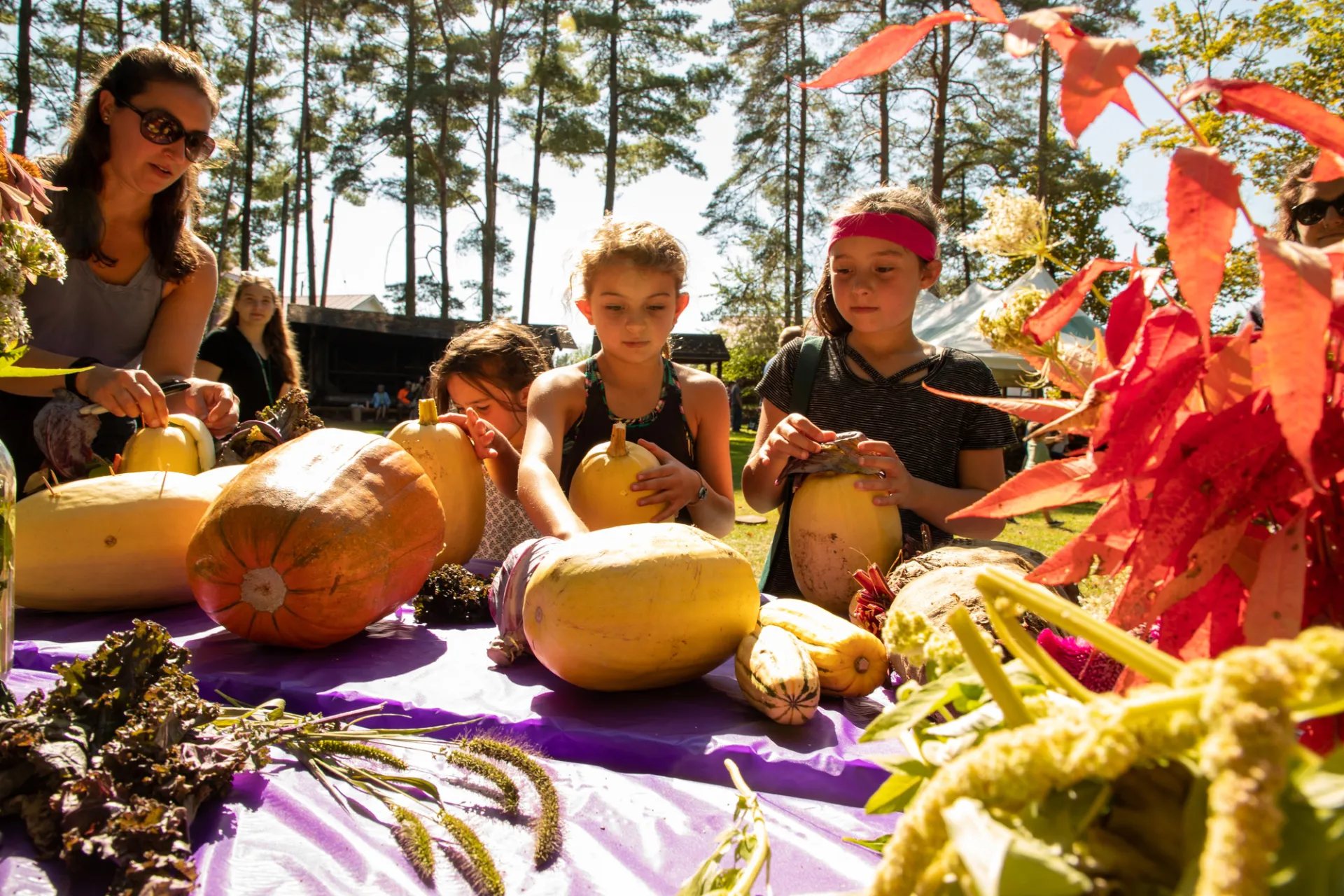 Kids looks at gourds