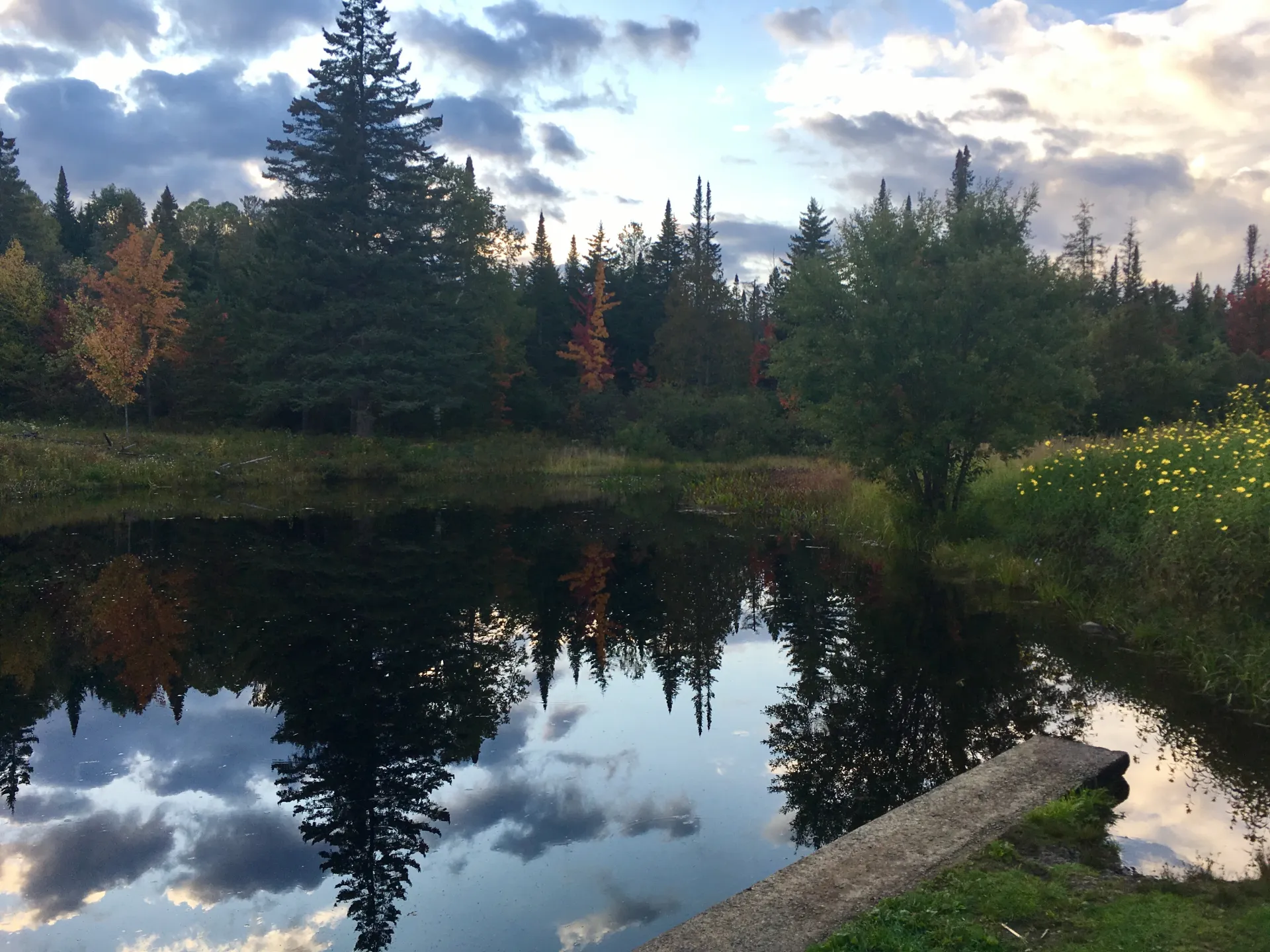 A lovely pond offers a scenic backdrop at John Brown Farm.