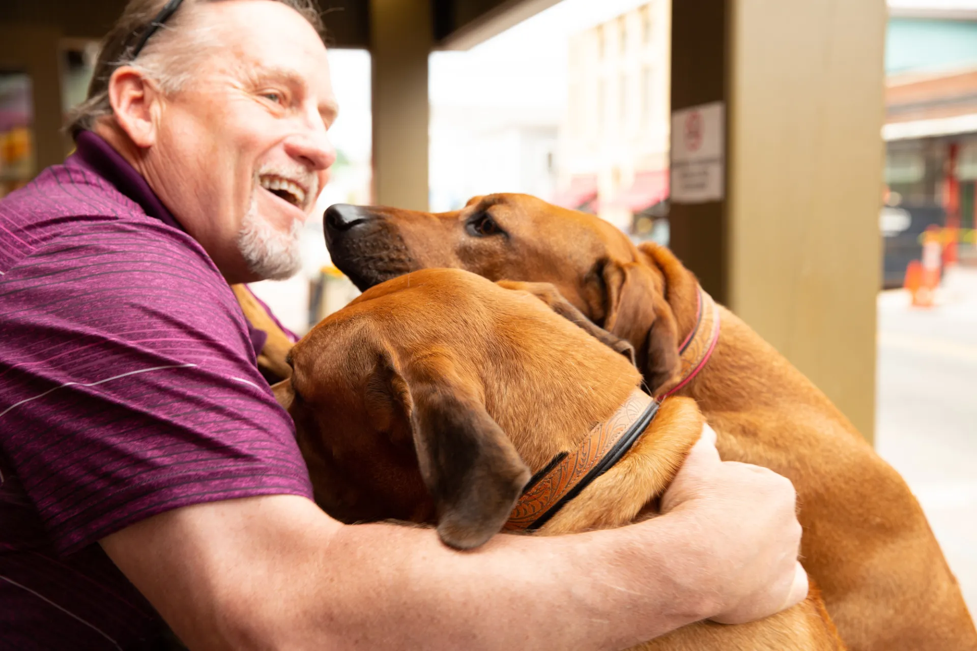 A man playing with two dogs