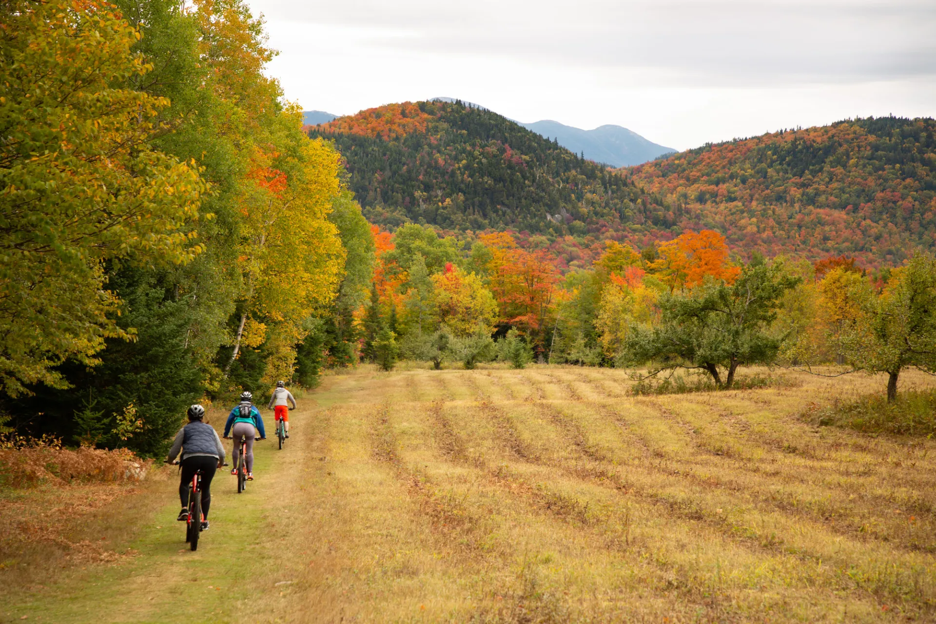 People biking on a trail during the fall with fall foliage and mountains surrounding them.