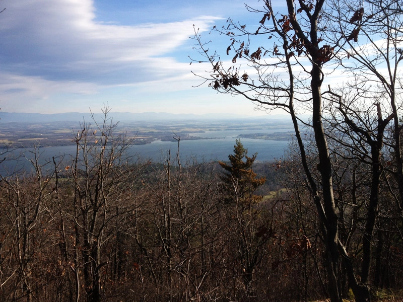 Cheney bridge view