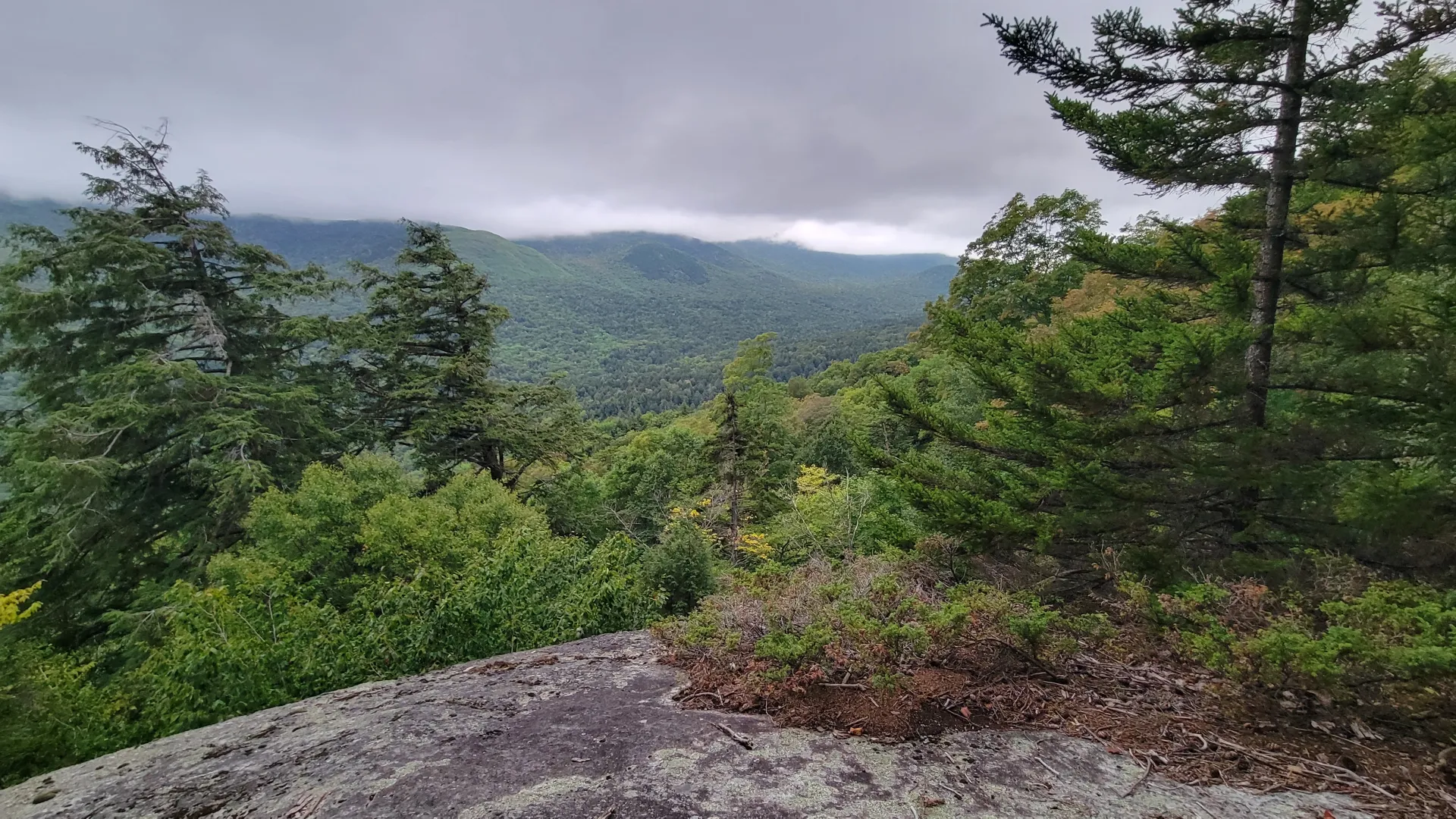 A view from a small rocky opening 