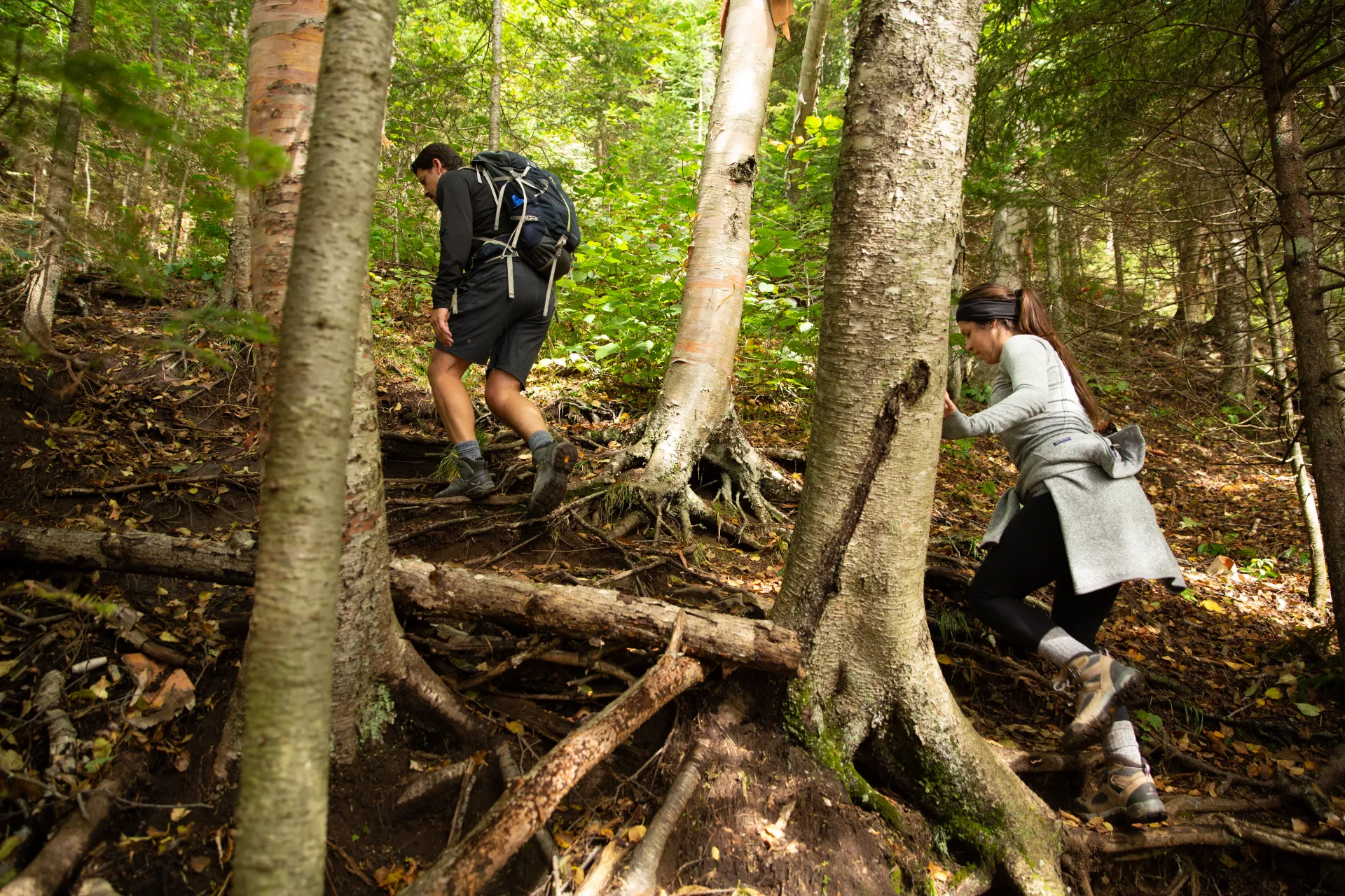 Two hikers climb the trail on McKenzie Mountain