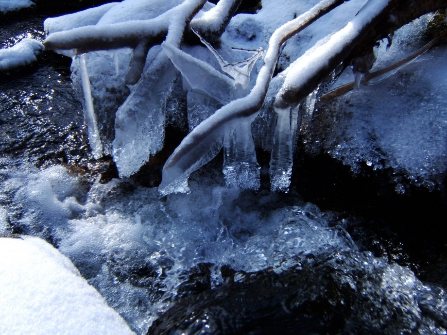 Ice formations in the brook