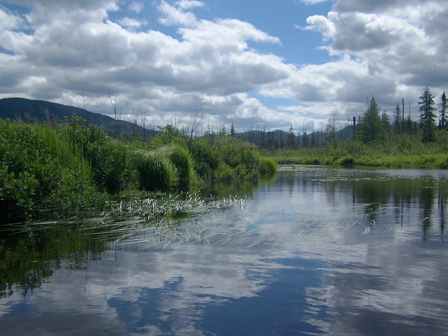 This river is bulked up from the dam in Lake Placid.