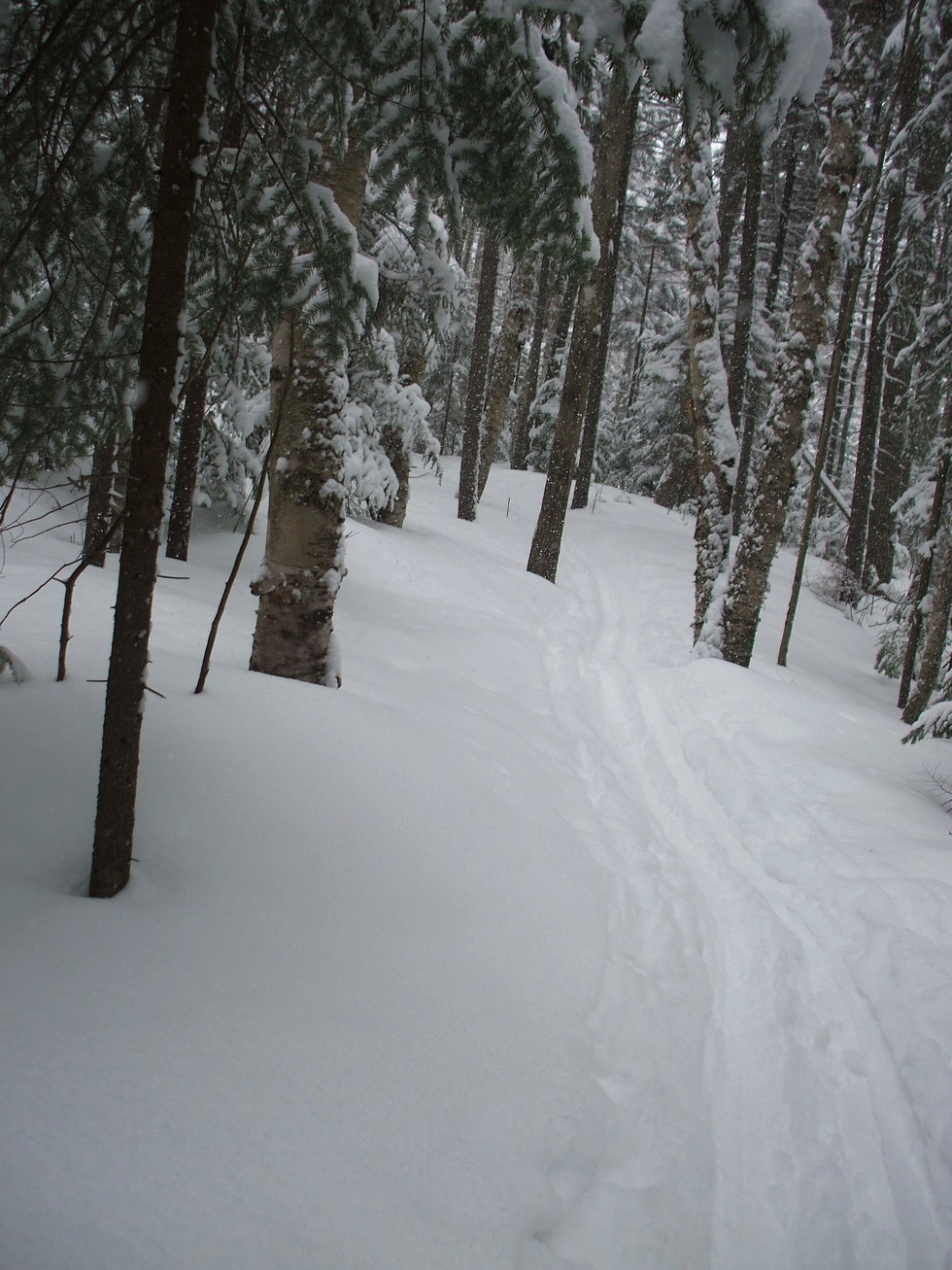 Great for winter cross-country skiing and snowshoeing.