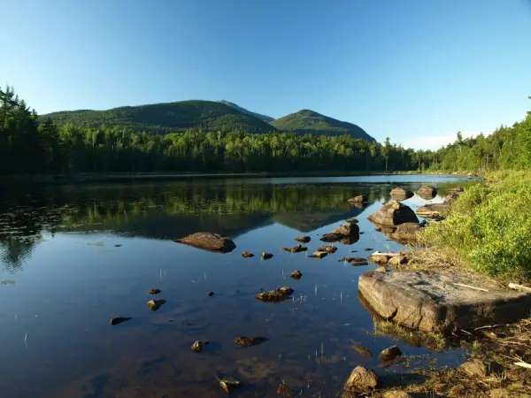 Embark on Long Pond from this area.