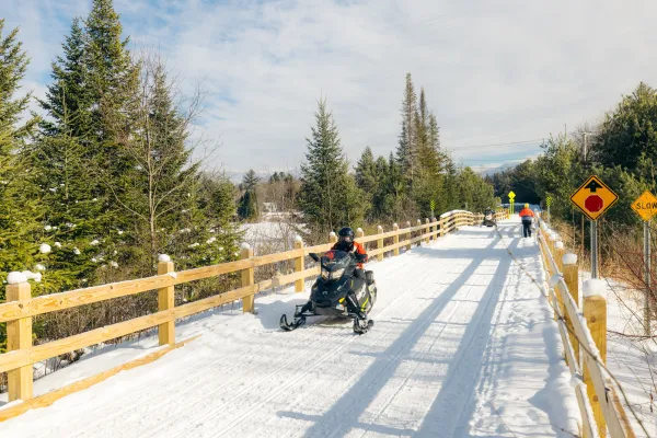 Two snowmobilers ride through a snowy, forested trail on a sunny day. Tall evergreens line the path, and the scene conveys excitement and adventure.