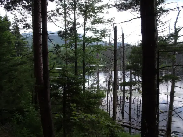 The trail follows the river for much scenic beauty.