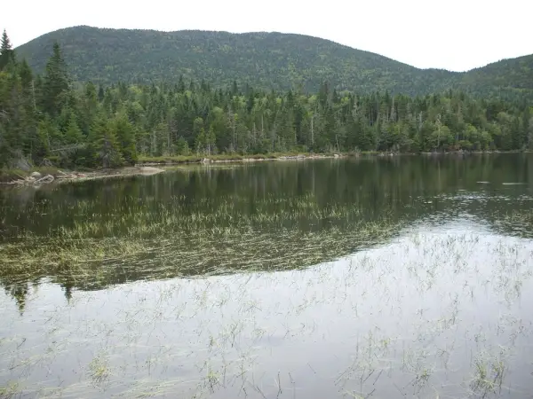 These tranquil ponds are destinations in themselves.