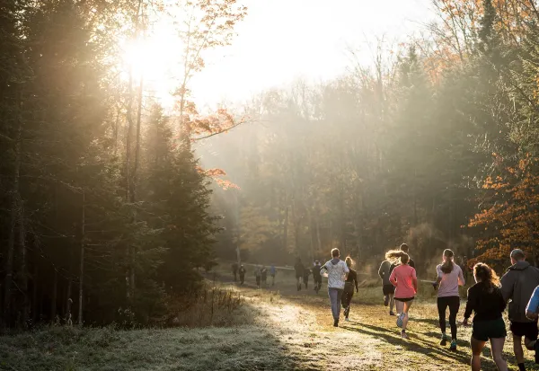 Group of people run on wide grassy path between trees in fall with warm light shining through treetops