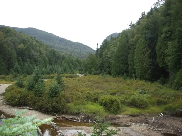 The MacNaughton bushwhack offers unique scenic views.
