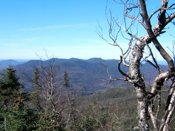 View from the "47th High Peak," MacNaughton Mountain.