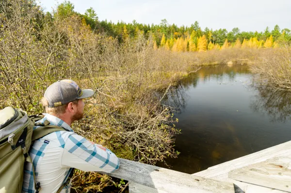 A hiker looks at a stream from a wooden bridge