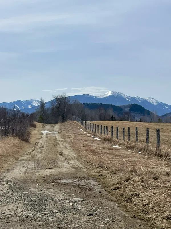 Old farm road with Algonquin peaks in the background